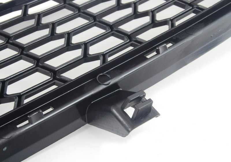 Lower Central Grid OEM 51118047339 for BMW X5 E70. Original BMW piece.