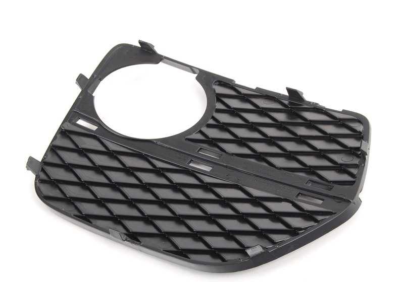 Linkes Gitter OEM 51117312605 für BMW x6 E71. Original BMW Stück.