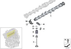 Muelle de válvula OEM 11347618835 para BMW F20, F21, F30, G30, X5, MINI F56... y más. Original BMW y MINI.