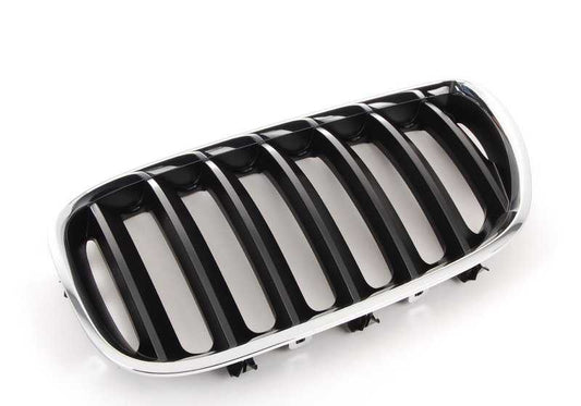 Grille d'ornement avant gauche 5113711373 pour BMW X5 E53. BMW d'origine.