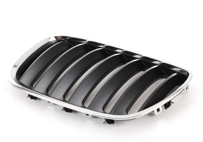 Rejilla de adorno delantera izquierda OEM 51137113733 para BMW X5 E53. Original BMW.
