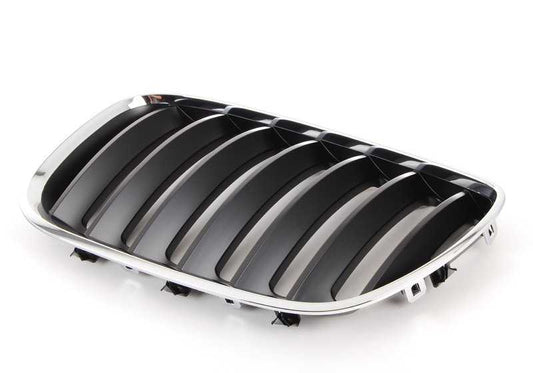 Grille d'ornement avant gauche 5113711373 pour BMW X5 E53. BMW d'origine.