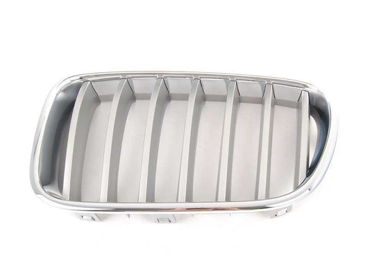 Grille décorative OEM 51117237421 pour BMW x3 (F25). BMW d'origine.