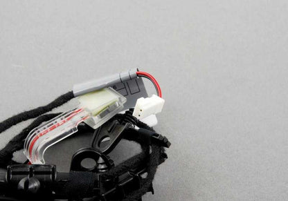 Iluminación del tirador de puerta trasero derecho para BMW E71, E72 (OEM 63177209884). Original BMW