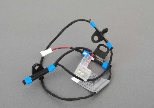Iluminación de manilla de puerta delantera izquierda OEM 63177209881 para BMW E71, E72. Original BMW.