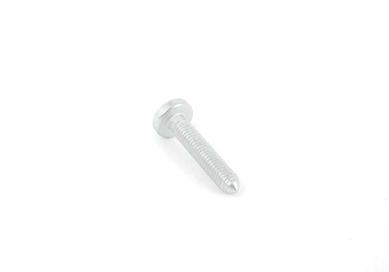 Torx screw for BMW E81, E82, E87, E88, F20, F21, F22, F23, F87, E90, E91, E92, E93, F30, F31, F34, F80, F32, F33, F36, F82, F83, E60, F07, F10, F11, F F12, F13, E65, F01, F02, E84, E83N, F25, F26, E70, F15, F16, E85, E86, E89, Mini R55, R56, R.