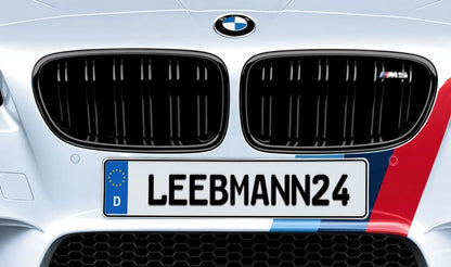 Rejilla M Performance para BMW Serie 5 F10 (OEM 51712352807). Original BMW