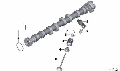 Muelle de válvula OEM 11347562716 para MINI R56, R57, R58, R60, R61 y BMW F20, F30, F31... y más. Original BMW y MINI.