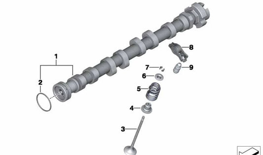 Muelle de válvula OEM 11347562716 para MINI R56, R57, R58, R60, R61 y BMW F20, F30, F31... y más. Original BMW y MINI.
