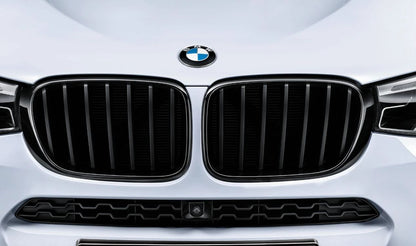 Rejilla delantera M Performance en negro brillo OEM 51712337762 para BMW X3 F25 y X4 F26 (sin Night Vision con detección de personas). Repuesto original BMW.