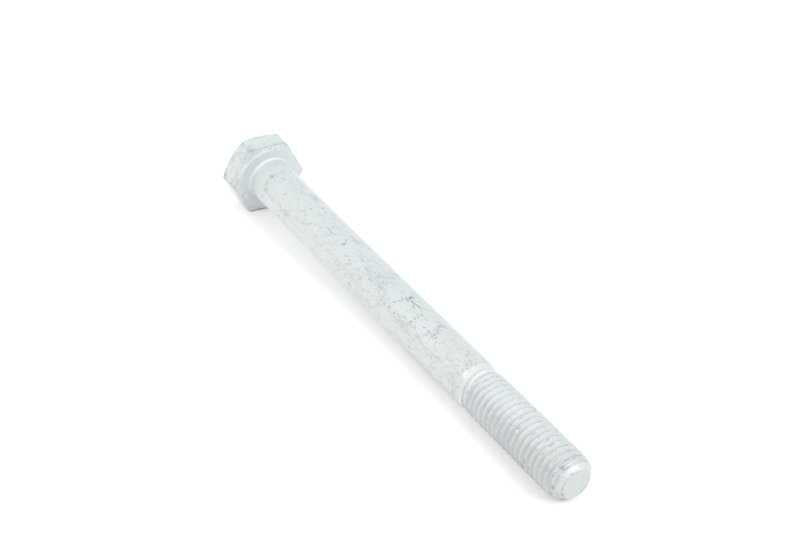 Vite esagonale OEM 07119905163 per BMW E53. BMW originale.
