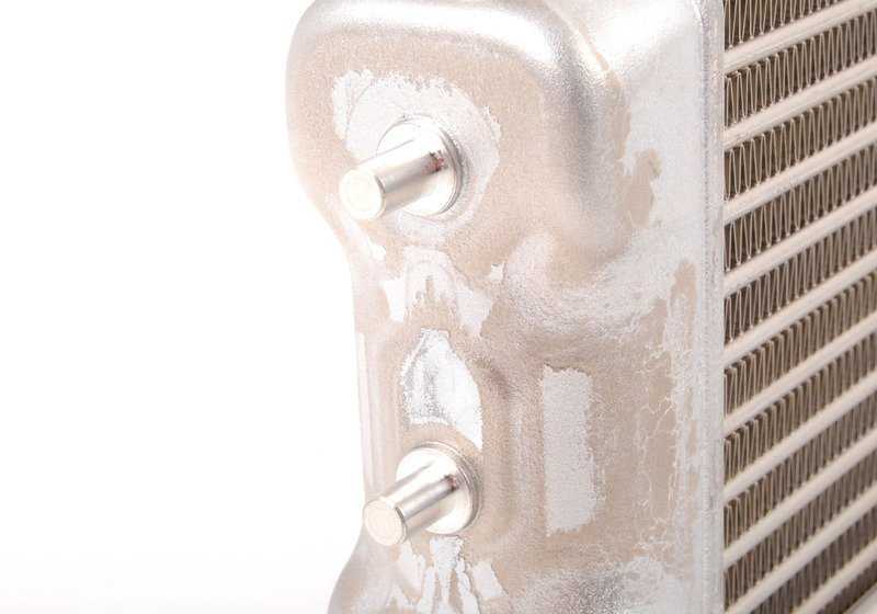 Additional radiator for BMW 5 Series F10, F90. Series 6 F06, F12, F13. Series 8 G15, G16 (OEM 17212284260). Genuine BMW.