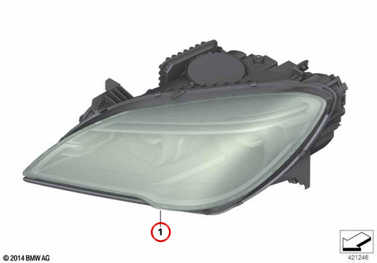 LED LED FAROS OEM 63117394909 per BMW F06, F12, F13. BMW originale.