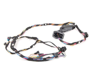 Mazo de cables puerta delantera OEM 61126923511 para BMW X5 E53 (todos los modelos: 3.0d, 3.0i, cambio manual y automático, 2001–2006). Original BMW.