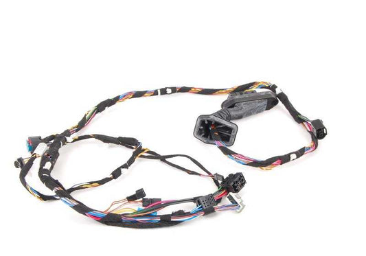 Mazo de cables puerta delantera OEM 61126923511 para BMW X5 E53 (todos los modelos: 3.0d, 3.0i, cambio manual y automático, 2001–2006). Original BMW.