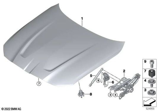 Carbon Front Hood for BMW G80, G82 (OEM 51917885063). Original BMW.