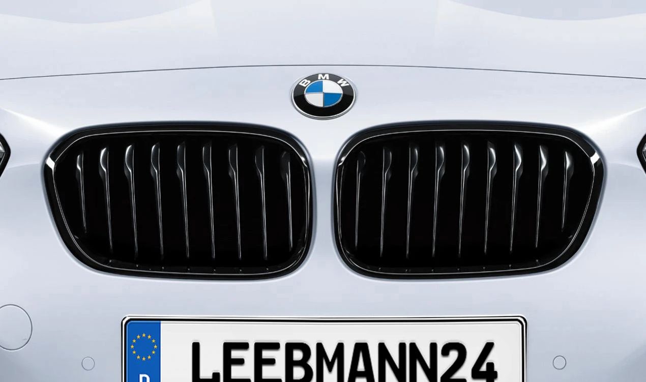 Parrilla frontal M Performance negra brillante OEM 51712357461 para BMW F20N y F21N. Mejora el aspecto deportivo con instalación sencilla. Original BMW.