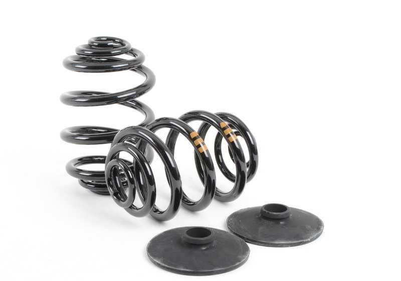 Barrel Spring Kit for BMW E36 (OEM 33539059281). Original BMW