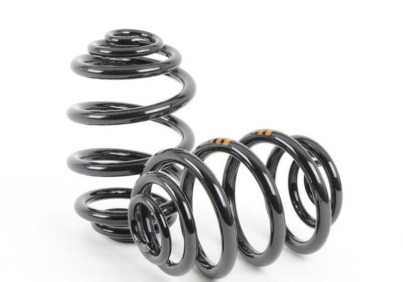 Barrel Spring Kit for BMW E36 (OEM 33539059281). Original BMW
