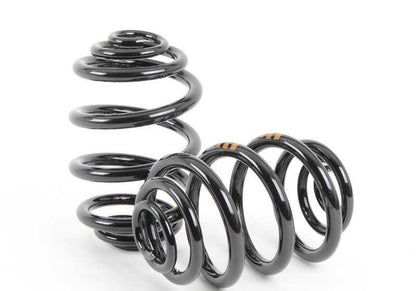 Barrel Spring Kit for BMW E36 (OEM 33539059281). Original BMW