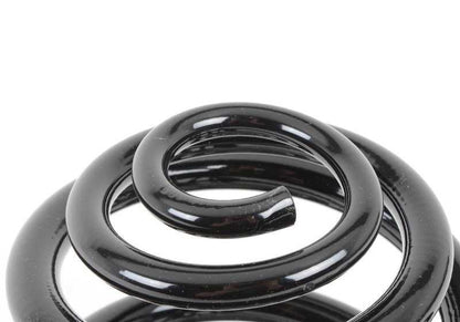 Barrel Spring Kit for BMW E36 (OEM 33539059281). Original BMW