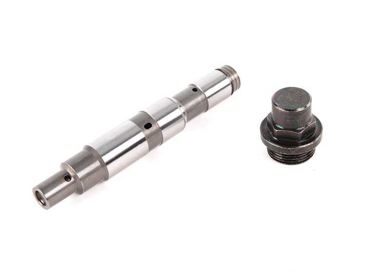 TENSOR CATERA DI DISTRUZIONE OEM 11317531813 per BMW E34, E39, E32, E38, E31, E53, E52. BMW originale.