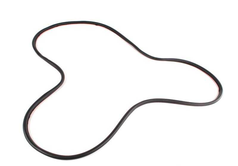 Burlete puerta trasera izquierda OEM 51348194697 para BMW E46 (316i AL11, AL12, AL21, AL22, AL51, AN72, AN82, AY11, AY31, AY32). Original BMW.