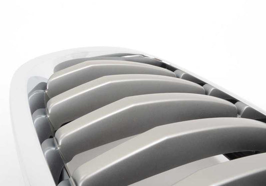 Grid anteriore destra OEM 51137307600 per BMW X6 E71. BMW originale.