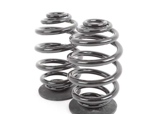 Juego de muelles de barril OEM 33539065357 para BMW E36. Compatible con todos los modelos E36 (3 puertas, 4 puertas, Touring, Cabrio, Compact). Original BMW.