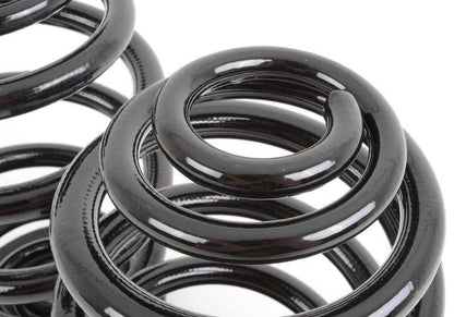 Juego de muelles de barril OEM 33539065357 para BMW E36. Compatible con todos los modelos E36 (3 puertas, 4 puertas, Touring, Cabrio, Compact). Original BMW.