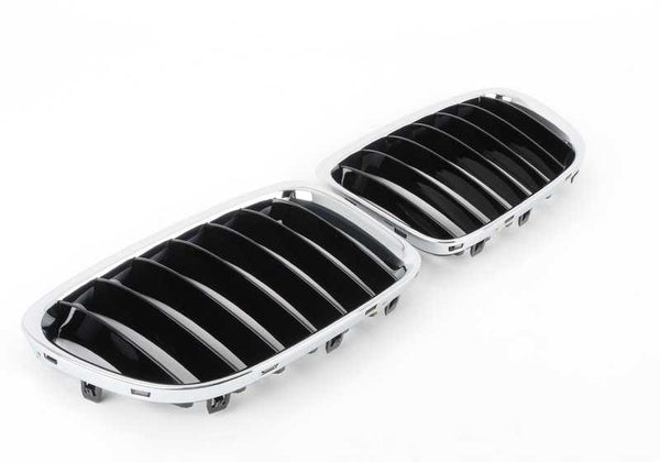 Rejilla decorativa delantera OEM 51117347670 para BMW E84 (X1). Original BMW.
