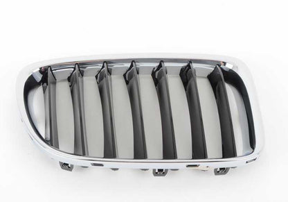 Rejilla decorativa delantera OEM 51117347670 para BMW E84 (X1). Original BMW.