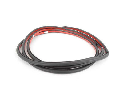 Junta de puerta delantera OEM 51767220381 para BMW X5 E70, E70N. Original BMW.
