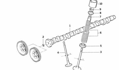 Válvula de admisión OEM 11341309343 para BMW E30 (320i, 320is, M3), E34 (M5), E24 (635CSi). Original BMW.