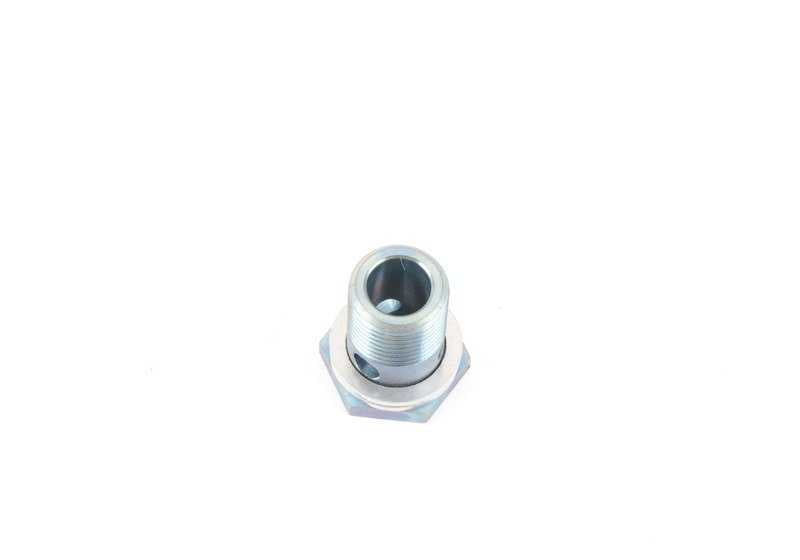 Hollow screw for BMW 5 Series E60, E61N, 6 Series E63, E64 (OEM 17222283139). Original BMW