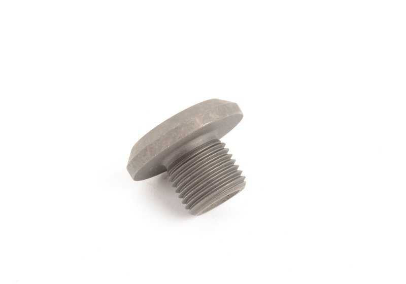 Hollow screw for BMW E46, E39, E85, E86, E52 (OEM 11311407013). Original BMW