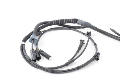 Cableado del motor para el módulo de la transmisión OEM 12517831649 para BMW E46. Original BMW.