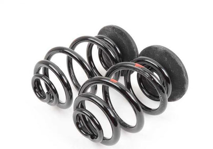 OEM 33539061510 rear barrel springs for BMW E30 M3 (all compatible models). Original BMW.