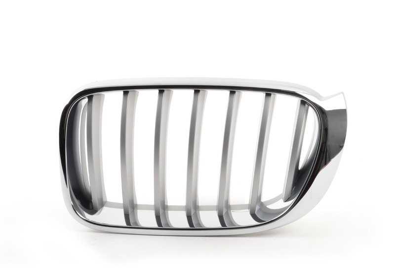 Rejilla delantera izquierda OEM 51137367421 para BMW F25, F26. Original BMW.