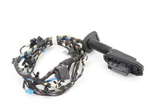 Cableado de puerta lado conductor OEM 61129315113 para BMW F25 y F26. Original BMW.
