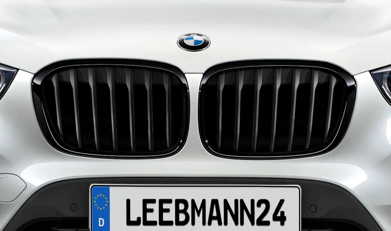 Rejilla delantera M Performance OEM 51712407732 para BMW F48 y F49. Original BMW.