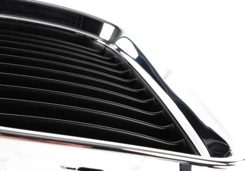 Links dekoratives Gitter 51138206609 für BMW E36 320i (alle kompatiblen Modelle). Originales äußeres Stück BMW.