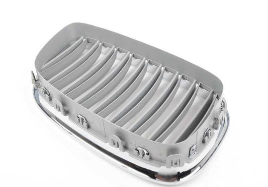 Rejilla embellecedora frontal izquierda OEM 51137202109 para BMW F07. Original BMW.