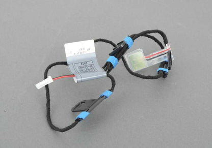 Luz LED tirador puerta delantera izquierda OEM 63177184659 para BMW X5 E70, E70N y BMW X6 E71. Iluminación original para maneta exterior. Recambio original BMW.