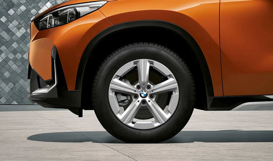 Juego de llantas y neumáticos de invierno Sternspeiche 875 17" OEM 10026664B para BMW X1 U11 {16i,20d,20i,xDrive20d,xDrive25e}. Original BMW.