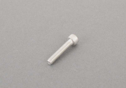 Tornillo Torx M5X25 OEM 07129900395 para motos BMW R nineT, F 800 GS Adventure, C evolution... y más. Original BMW Motorrad.