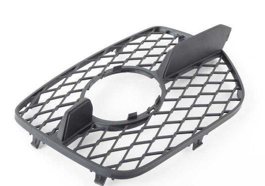 Right front grid (copilot side) OEM 51117176278 for BMW X6 E71 and E72. Original BMW.