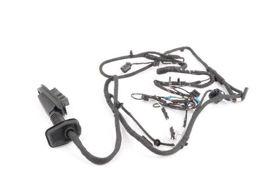 Fiação da fiação da porta da frente Lado do motorista 61129282069 para BMW F10, F11. BMW original.