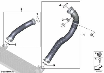 O-ring per BMW 5 F07N Series, F10, F10n, F11, F11n, F18, F18N (OEM 13717636959). BMW originale
