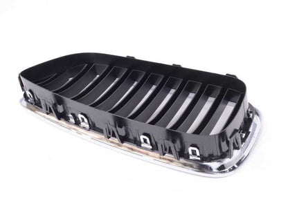 Right front decorative grid 51137412324 for BMW F10N, F11N, F18N. Original BMW.